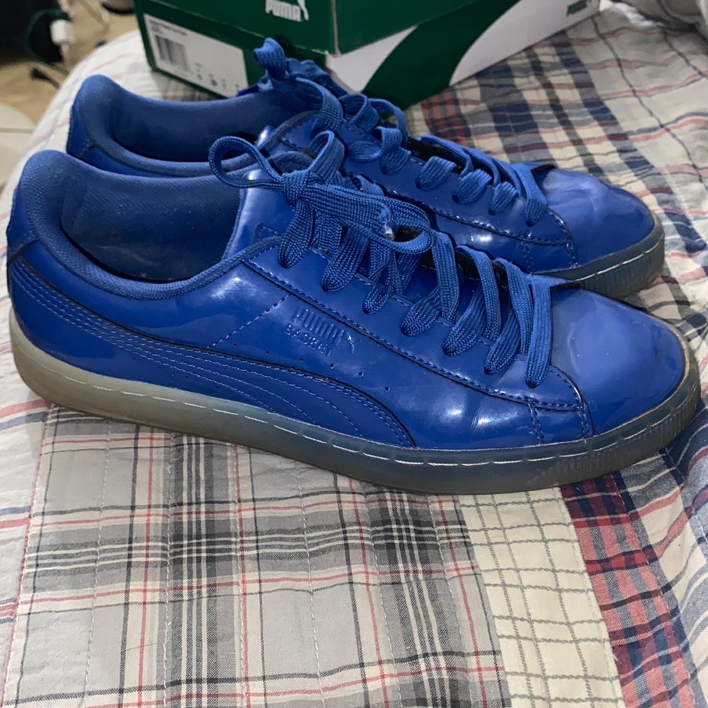 pumas
